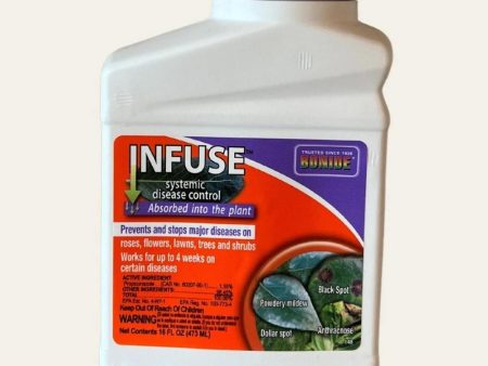 Infuse Systemic Disease Control Pint For Sale