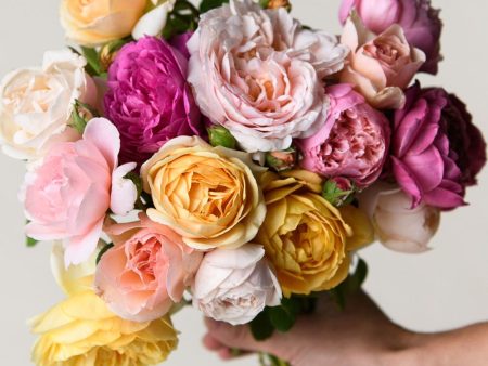 The Classic Garden Rose Bouquet Online Sale