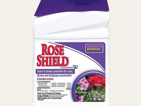 Rose Shield Concentrate Pint Fashion