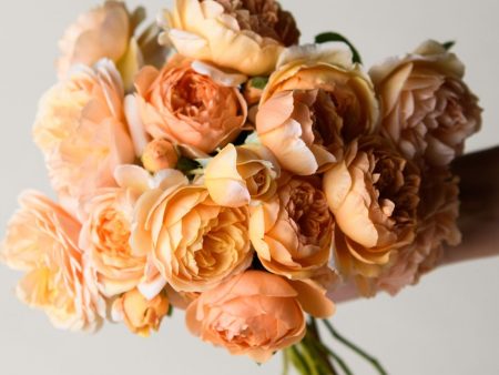 Peaches & Dreams Garden Rose Bouquet Online now