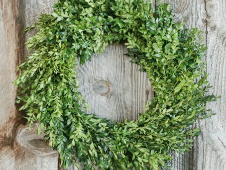 Classic Boxwood Holiday Wreath Discount