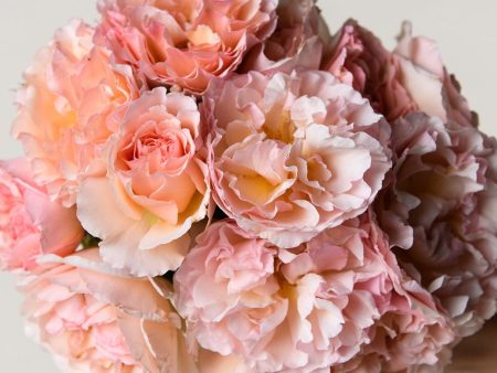 Pretty In Pink Garden Rose Bouquet Online