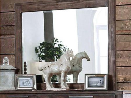 Hankinson Rustic Natural Tone Mirror For Sale