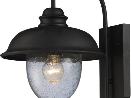 15 H Streetside Cafe 1-Light Outdoor Wall Sconce Matte Black with Transparent Glass Online Hot Sale