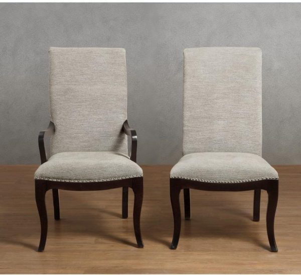 Savion Arm Chair in Espresso (Set of 2) For Sale