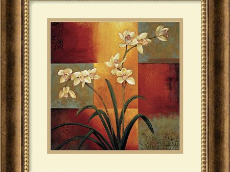 17 H x 17 W Jill Deveraux White Orchid Framed Print Discount