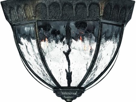 12 W Regal 4-Light Outdoor Flush Mount Fixture Black Granite Online now