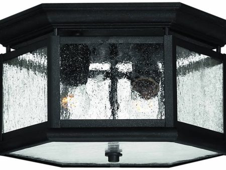 13 W Lakeside 2-Light Outdoor Flush Mount Fixture Black Online Hot Sale