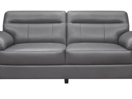 Denizen Sofa in Dark Gray 9537DGY-3 Discount