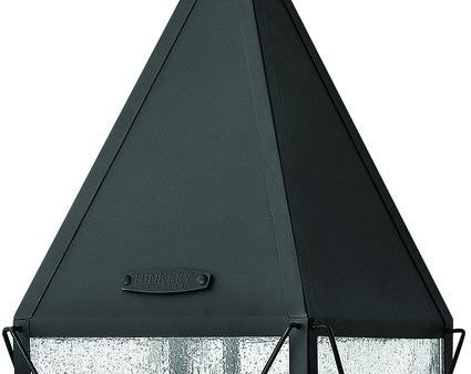 10 W York 3-Light Outdoor Pendant Black Online