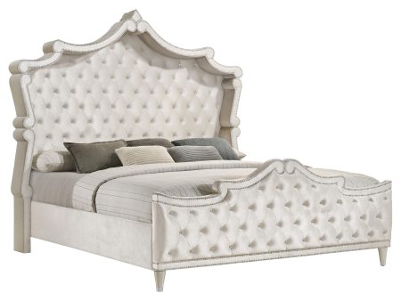 Antonella Upholstered Tufted California King Bed Ivory and Camel Supply