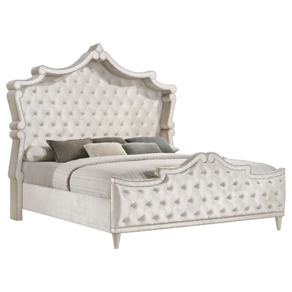 Antonella Upholstered Tufted California King Bed Ivory and Camel Supply