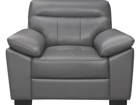 Denizen Chair in Dark Gray 9537DGY-1 Supply