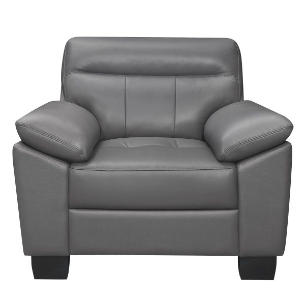 Denizen Chair in Dark Gray 9537DGY-1 Supply