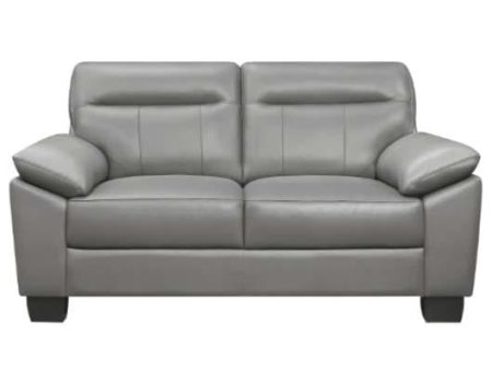 Denizen Loveseat in Gray 9537GRY-2 For Discount