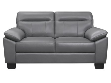 Denizen Loveseat in Dark Gray 9537DGY-2 on Sale