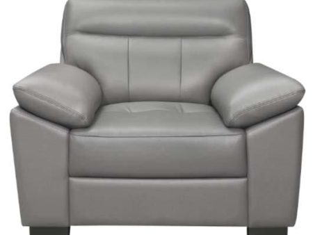 Denizen Chair in Gray 9537GRY-1 Fashion