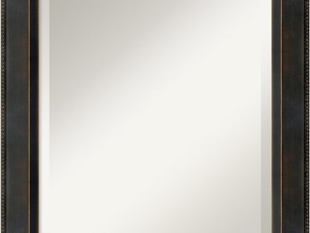 25 H x 21 W Signore Mirror Medium Framed Mirror Online