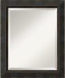 25 H x 21 W Signore Mirror Medium Framed Mirror Online