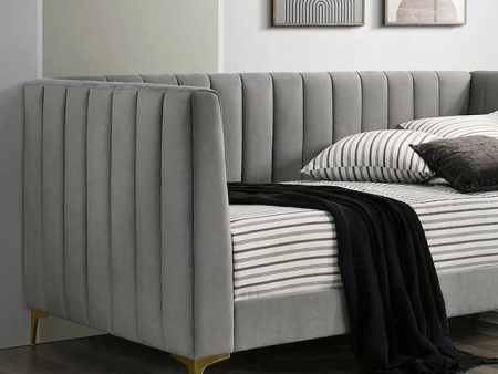 NEOMA Twin Daybed, Light Gray Discount