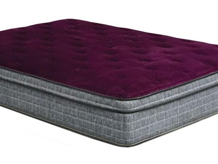 Minnetonka Purple 13  Euro Pillow Top Mattress, Cal.King Online