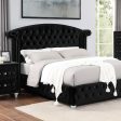 ZOHAR E.King Bed, Black Online