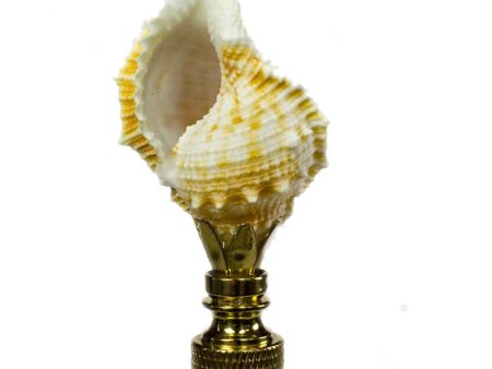 Bursa Sea Shell Lamp Finial with Polished Brass Base 2.25 h Sale