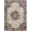 Payas Multi 5  X 7  Area Rug Fashion