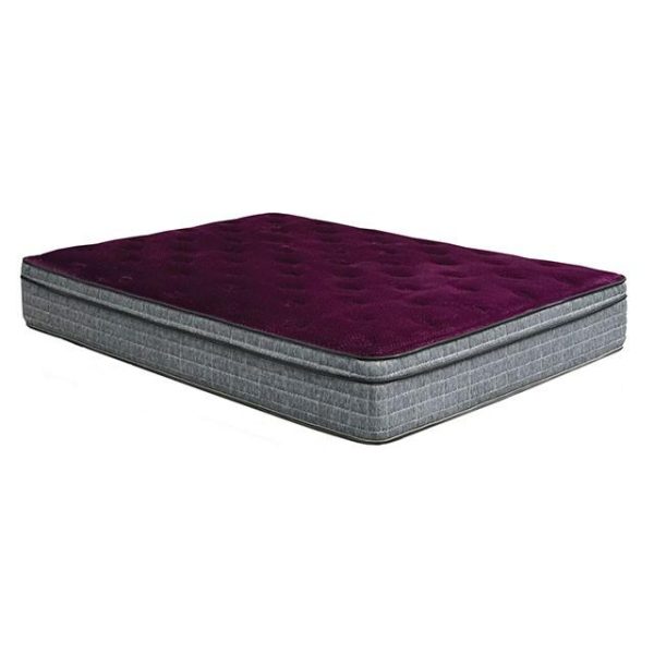 Minnetonka Purple 13  Euro Pillow Top Mattress, Cal.King Online