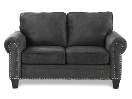 Cornelia Loveseat in Dark Gray 8216DG-2 For Cheap