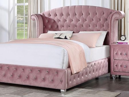 ZOHAR Full Bed, Pink For Discount