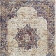 Payas Multi 5  X 7  Area Rug Fashion