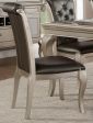 Crawford Side Chair in Silver (Set of 2) Online Sale