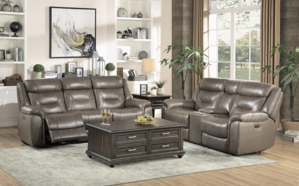 Danio Power Double Reclining Loveseat with Power Headrests in Brownish Gray 9528BRG-2PWH Online Hot Sale