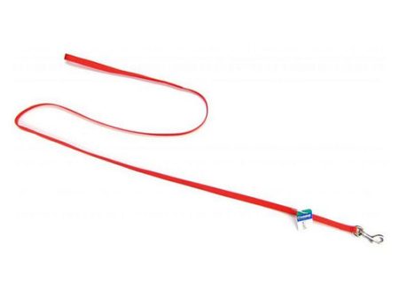 Nylon Lead - Red 4  Long x 3 8  Wide by Coastal Pet Online Sale