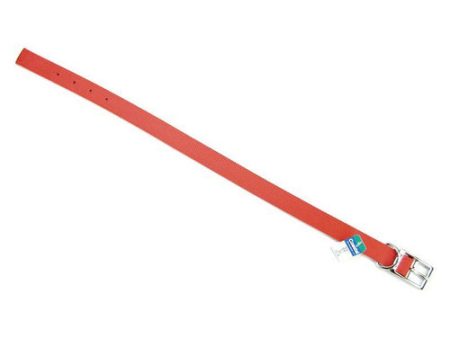 Double Nylon Collar - Red 22  Long x 1  Wide by Coastal Pet Hot on Sale