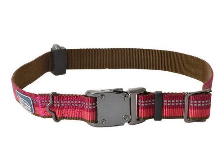 K9 Explorer Berry Red Reflective Adjustable Dog Collar 18 -26  Long x 1  Wide by Coastal Pet Discount