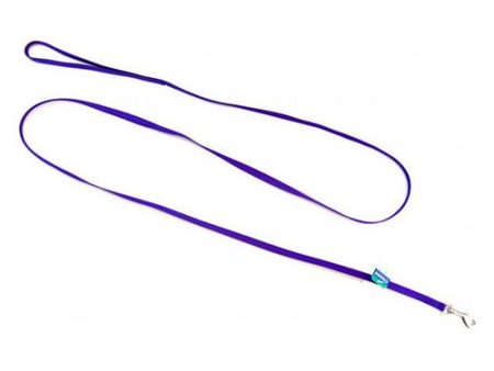 Nylon Lead - Purple 6  Long x 3 8  Wide by Coastal Pet For Sale