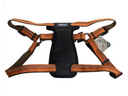 K9 Explorer Reflective Adjustable Padded Dog Harness - Campfire Orange Fits 26 -38  Girth by Coastal Pet Online Hot Sale