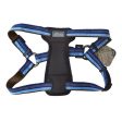 K9 Explorer Sapphire Reflective Adjustable Padded Dog Harness Fits 20 -30  Girth - (1  Straps) by Coastal Pet on Sale