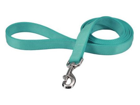 Double-ply Nylon Dog Lead Teal 72 L x 1 W by Coastal Pet Cheap