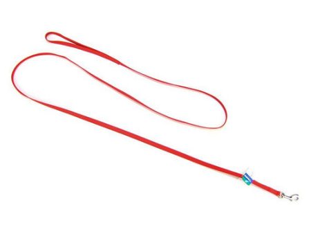 Nylon Lead - Red 6  Long x 3 8  Wide by Coastal Pet Online now