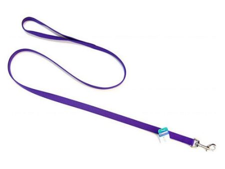 Nylon Lead - Purple 4  Long x 5 8  Wide by Coastal Pet on Sale